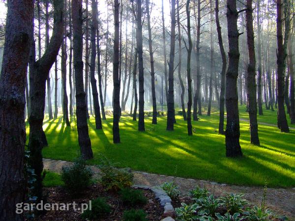 Park w Kajetanach 