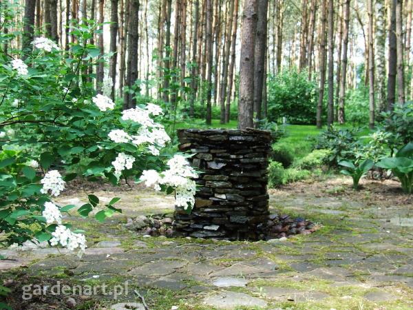 �r�de�ko w lesie - Kajetany 